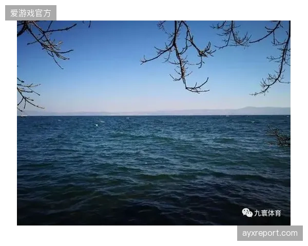 斥巨资修建的“青训基地”为何变成了无人问津的孤岛，而不是社区体育的中心？